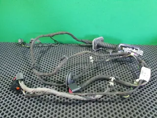 20980014 Проводка двери задней левой Opel Insignia 1 Арт 97177105, вид 1