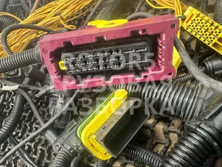 81991038007 Проводка двигателя MAN TGX 12л Арт 51931, вид 6
