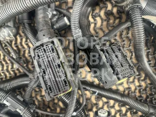 81991038007 Проводка двигателя MAN TGX 12л Арт 51931, вид 7