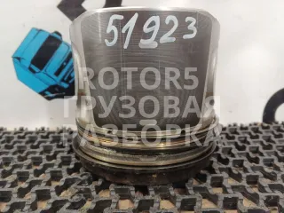 126016 Поршень MAN TGX Арт 51923, вид 1