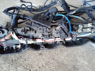 810W25424003,J002000191 Проводка двигателя MAN TGA Арт 48077_1, вид 2