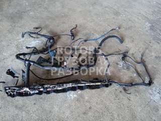 810W25424003,J002000191 Проводка двигателя MAN TGA Арт 48077_1, вид 4