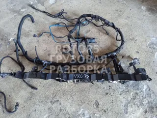 810W25424003,J002000191 Проводка двигателя MAN TGX Арт 48077_2, вид 1