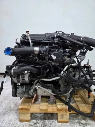 R9M,622951,R9M502 Двигатель Mercedes Vito W447 Арт 3906-06427310, вид 3