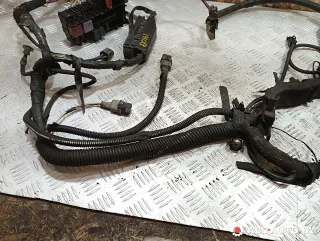 7703497782 Проводка двигателя Renault Scenic 1 Арт A30161, вид 5