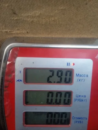M000T90981 Стартер Mazda 6 1 Арт 59129, вид 7