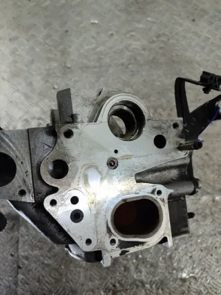 038103373R Головка блока цилиндров Volkswagen Passat B6 1.9л TDI PD Арт 78857309, вид 9