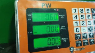 038 129 723E Кронштейн двигателя Seat Cordoba 1 restailing Арт 97827009, вид 4