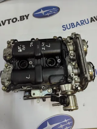  Головка блока цилиндров Subaru Legacy 7 2.4л Tutbo Арт 97931349, вид 1