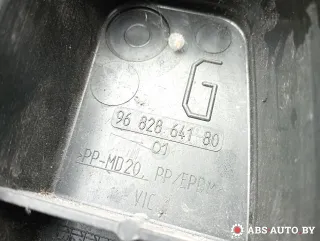 9682864180 Пыльник крыла переднего левого Citroen C5 2 Арт A30616, вид 4