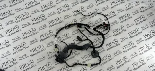 A2514402009 Проводка двери передней левой Mercedes GL X164 Арт 101411, вид 2