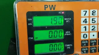 14 88 7370 80 03, 991728-203 Стеклоподъемник правый передний Lancia Phedra Арт 97961365, вид 3