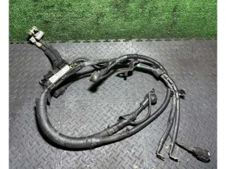 918502b211 Проводка двигателя Hyundai Santa FE 2 (CM) Арт 59020, вид 2