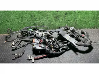 242964406r Проводка двигателя Renault Twingo 1 Арт 58938, вид 1