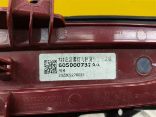 605000732AA Фонарь противотуманный левый EXEED RX Арт 217178, вид 4