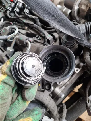 05L129766R, 05L907807AP, 5WA127399L, 05L130755, 3Q0816803D, 05L117021B, 05L972610C, 5WA971230EK, 05L145762D, DTR, 05L130089H, 05L253010, 05L131512C, 05L131705AC, 05L131765N, 05L131705AC Двигатель Audi A3 8Y Арт 97996330, вид 10