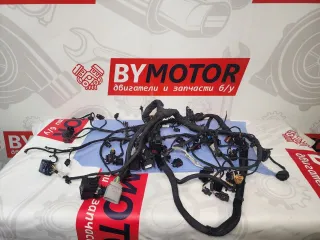 057971595AS Проводка двигателя Audi Q7 4M restailing Арт 17423