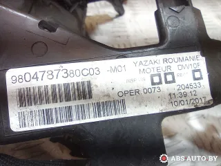 9804787380,980013780 Проводка двигателя Citroen C5 2 Арт A31010, вид 7