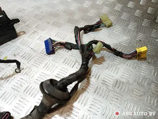 9120029331,9121329100,9121129000 Проводка двигателя Hyundai Lantra 2 Арт A30740, вид 2