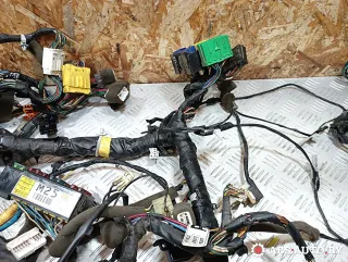 9522429050,9110029141,9163029010,9139029020,9495029000,9683128000 проводка салона Hyundai Lantra 2 Арт A30739_1, вид 7