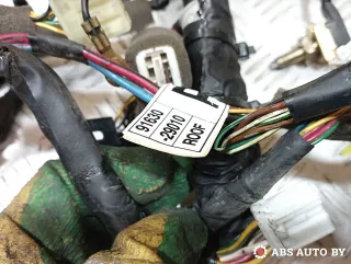 9522429050,9110029141,9163029010,9139029020,9495029000,9683128000 проводка салона Hyundai Lantra 2 Арт A30739_1, вид 8