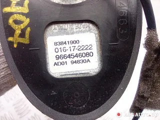 9664546080 Антенна Citroen C5 2 Арт A30707, вид 5