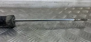 562105043R,E1010102,CZ11B12 амортизатор задний левый Nissan Terrano 3 Арт 25679_4, вид 3