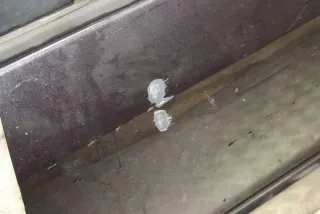  Дверь задняя правая Citroen C8 Арт 46673855, вид 4