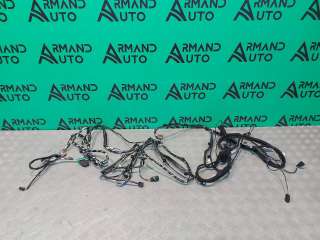 241635900R Проводка багажника Nissan Terrano 3 Арт ARM315123