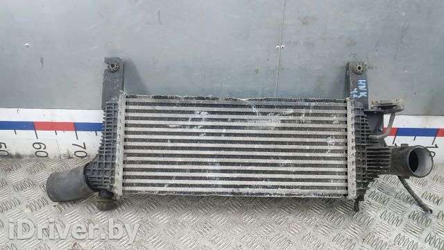 Радиатор интеркулера Nissan Navara D40 2012г.  - Фото 1