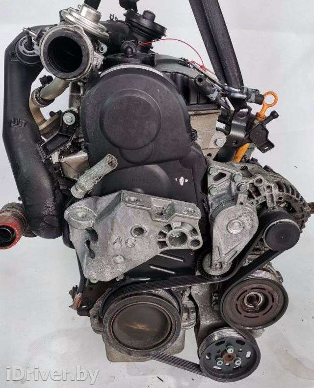 Двигатель  Volkswagen Golf 4 1.9  Дизель, 2004г. ASZ  - Фото 1