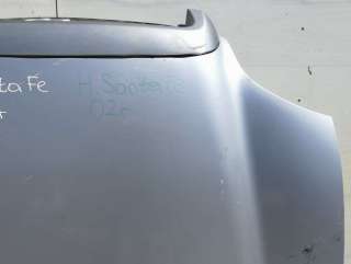 Капот Hyundai Santa FE 1 (SM) 2002г.  - Фото 3
