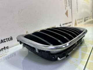 746492 Решетка радиатора BMW X3 G01 Арт TP86932, вид 10