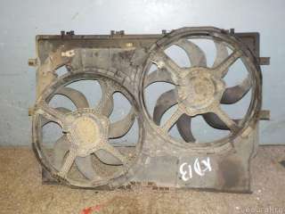  Вентилятор радиатора Peugeot Boxer 3 Арт E40149612, вид 3