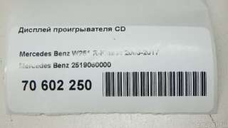 2519060000 Mercedes Benz Дисплей проигрывателя CD Mercedes S W221 Арт E70602250, вид 10