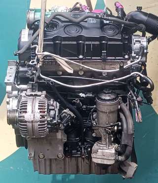 Двигатель  Skoda Octavia A5 1.9 TDi Дизель, 2009г. BLS  - Фото 3