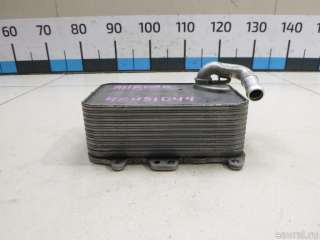 059117021R VAG Радиатор масляный Volkswagen Crafter 1 Арт E48451044, вид 2