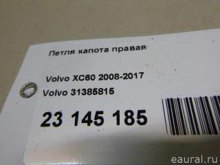 Петля капота правая Volvo XC60 1 2010г. 31385815 Volvo - Фото 8