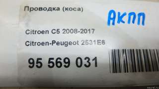 2531E6 Citroen-Peugeot Проводка (коса) Citroen C5 2 Арт E95569031, вид 7